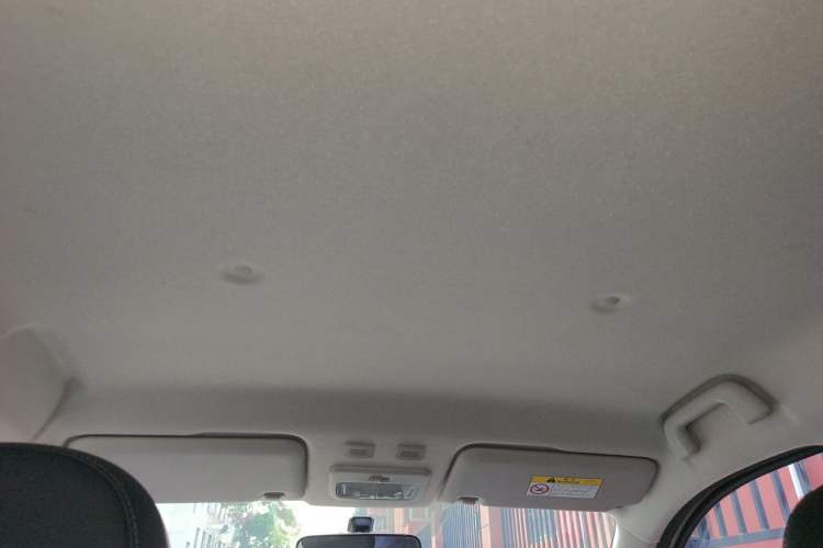 Used ORA Black Cat 2019 351 km Family Edition Headliner