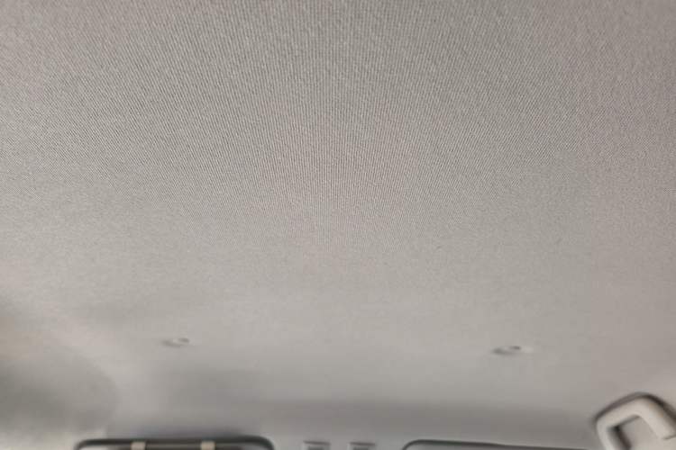 Used ORA Black Cat 2019 310km Fun Edition Headliner