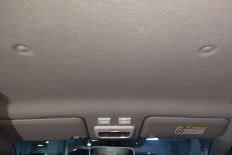 Used ORA Black Cat 2019 351 km Family Edition Headliner