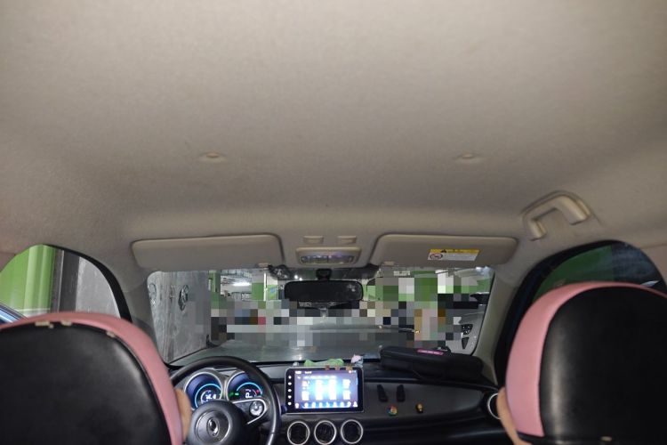 Used ORA Black Cat 2019 351 km Family Edition Headliner