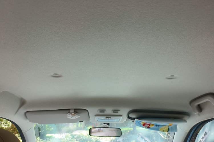 Used ORA Black Cat 2019 301km Standard Edition Headliner