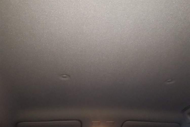 Used ORA Black Cat 2019 351 km Lingzhi Edition Headliner