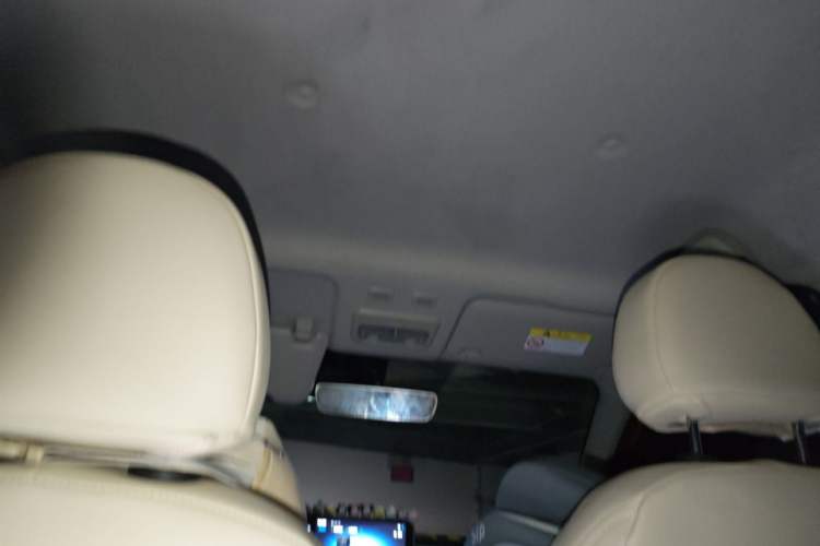 Used ORA Black Cat 2019 351 km Goddess Edition Headliner