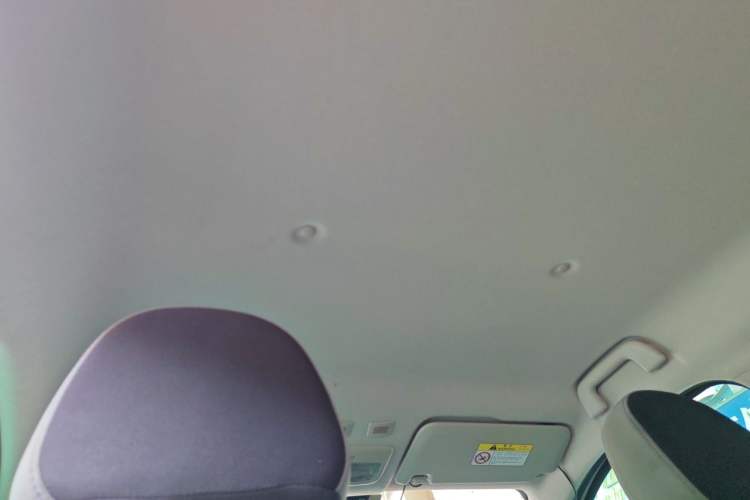Used ORA Black Cat 2019 351 km Lingzhi Edition Headliner