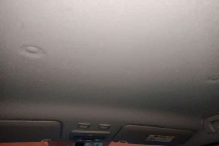 Used ORA Black Cat 2019 351 km Family Edition Headliner
