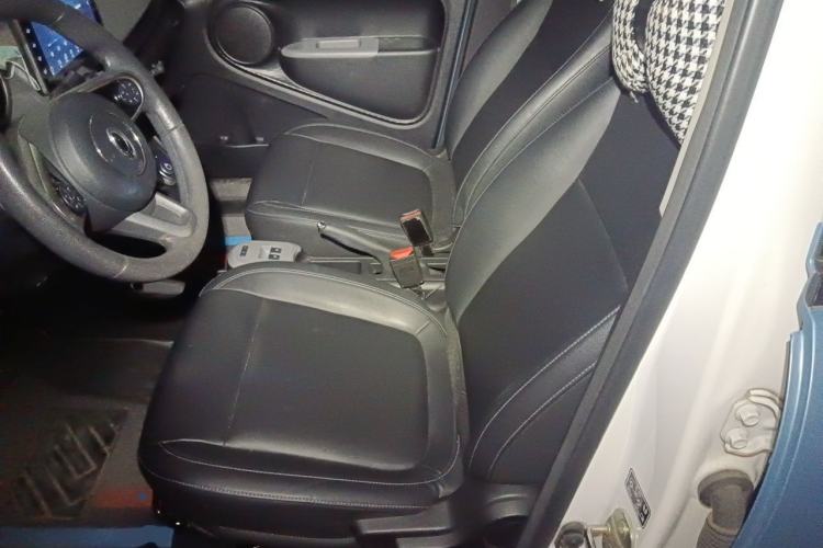 Used ORA Black Cat 2019 351 km Family Edition Left Front Seat