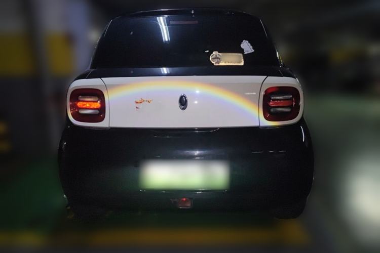 Used ORA Black Cat 2019 351 km Goddess Edition Rear
