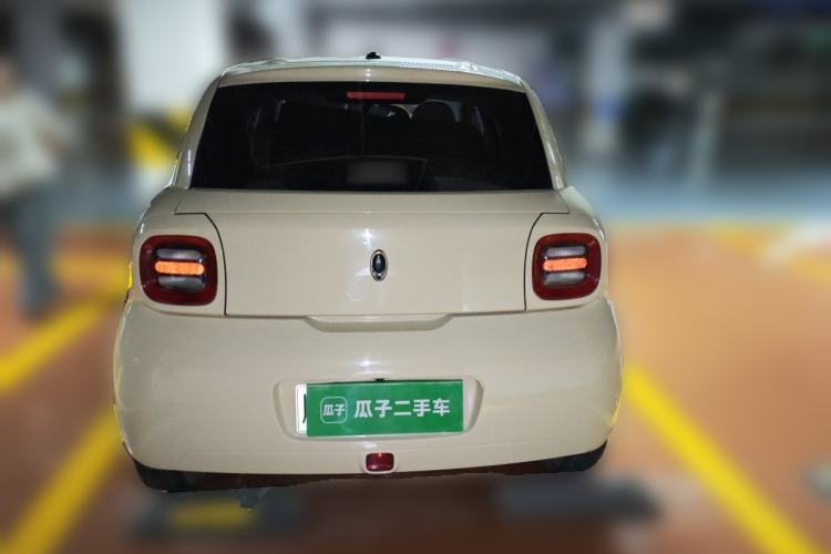 Used ORA Black Cat 2019 351 km Goddess Edition Rear