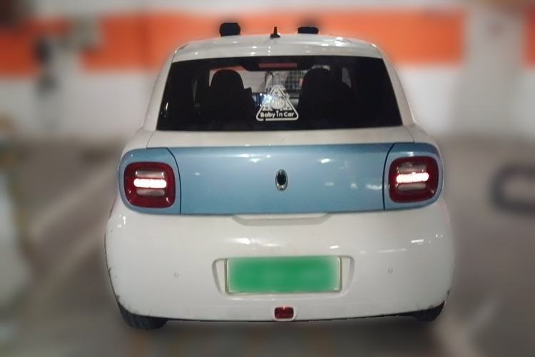 Used ORA Black Cat 2019 351 km Family Edition Rear