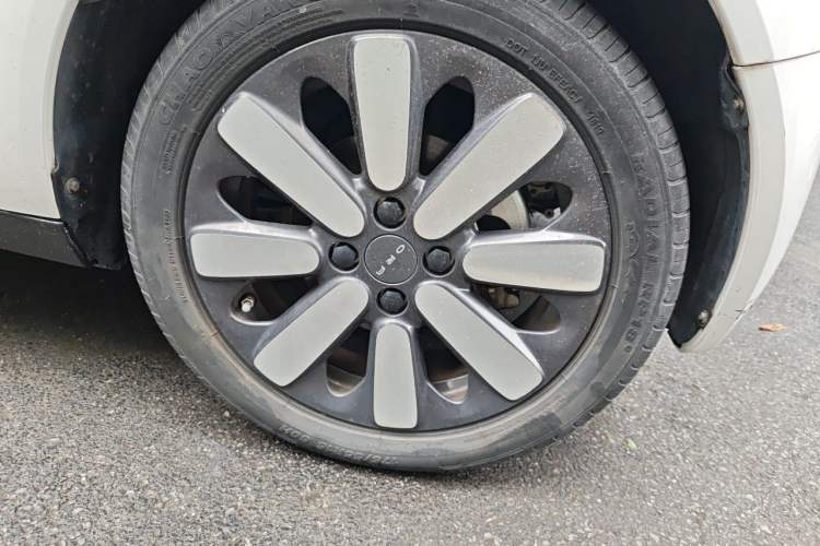 Used ORA Black Cat 2019 351 km Goddess Edition Right Front Wheel Hub