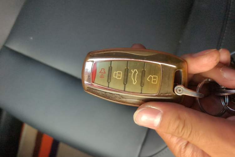 Used ORA Black Cat 2019 351 km Family Edition Vehicle Key