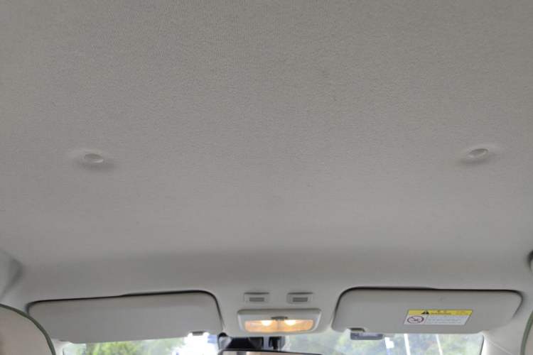 Used ORA Black Cat 2019 351 km Goddess Edition Headliner