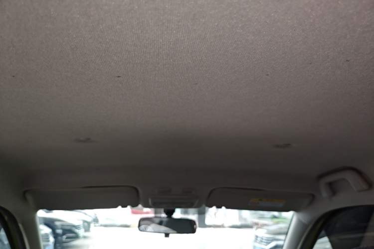 Used ORA Black Cat 2019 301km Standard Edition Headliner