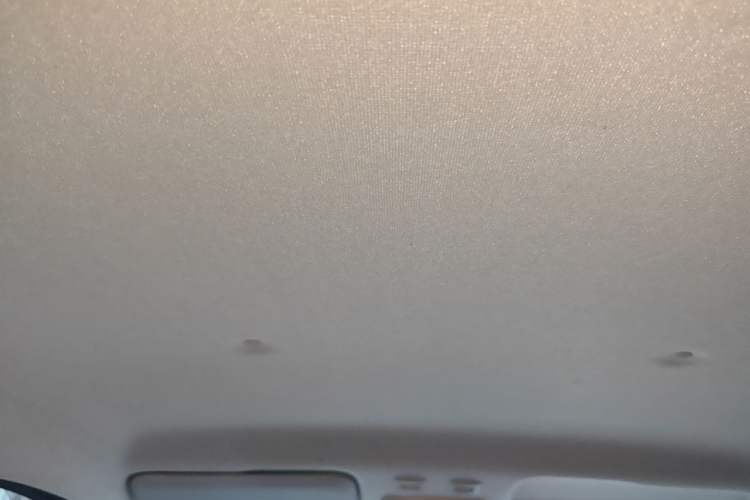 Used ORA Black Cat 2019 301km Standard Edition Headliner