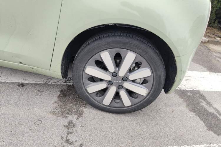 Used ORA Black Cat 2019 351 km Goddess Edition Right Front Wheel Hub