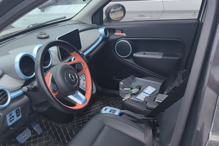 Used ORA Black Cat 2019 351 km Family Edition Interior 2