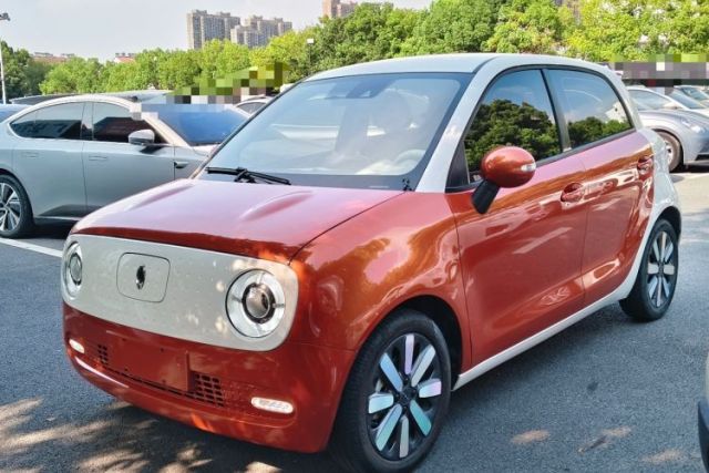 Used ORA Black Cat 2019 351 km Goddess Edition