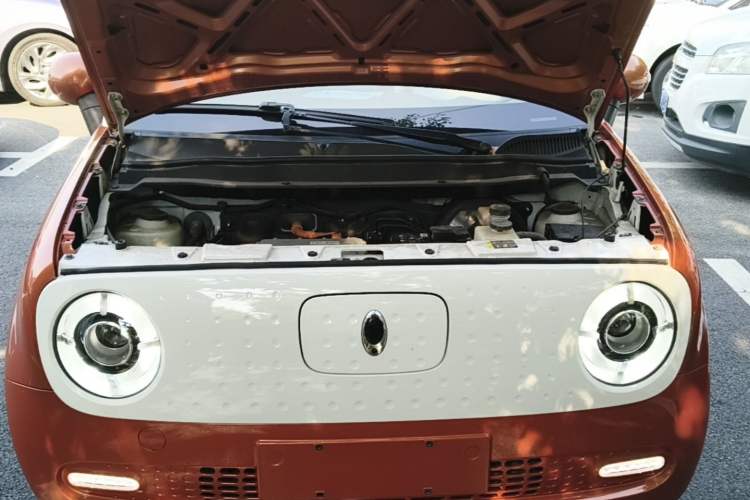 Used ORA Black Cat 2019 351 km Goddess Edition Engine Bay