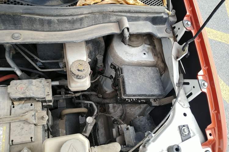 Used ORA Black Cat 2019 351 km Goddess Edition Engine Bay Left