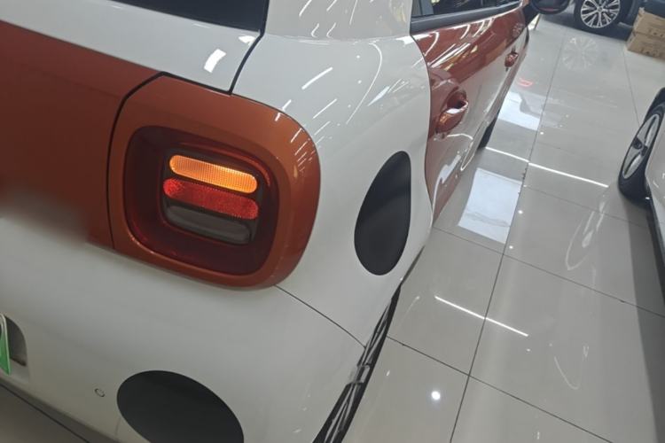 Used ORA Black Cat 2019 351 km Goddess Edition Exterior 3