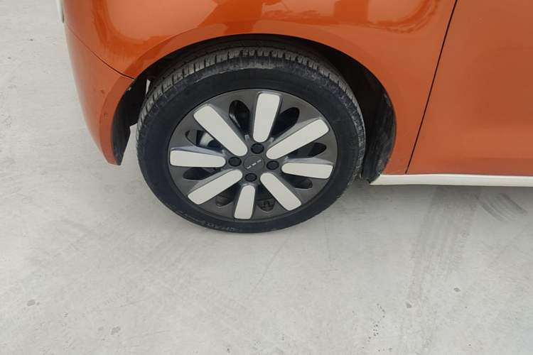 Used ORA Black Cat 2019 351 km Goddess Edition Exterior 4
