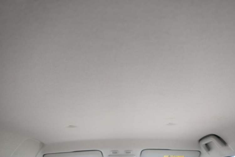Used ORA Black Cat 2019 351 km Goddess Edition Headliner