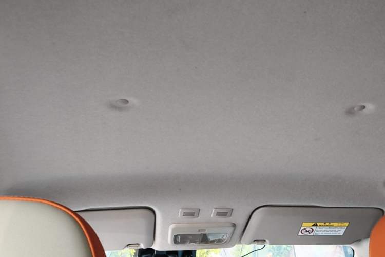 Used ORA Black Cat 2019 351 km Goddess Edition Headliner