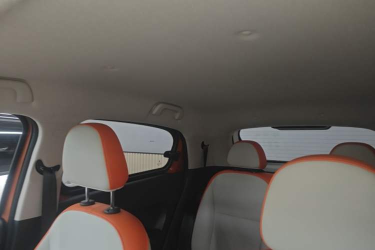 Used ORA Black Cat 2019 351 km Goddess Edition Headliner