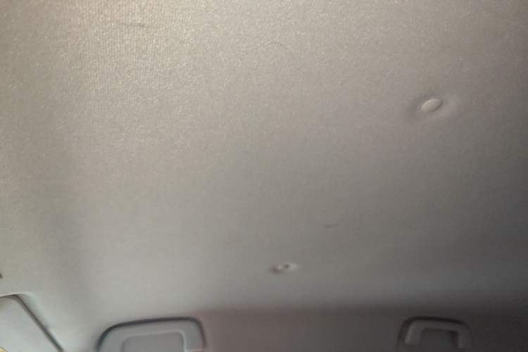 Used ORA Black Cat 2019 351 km Goddess Edition Headliner