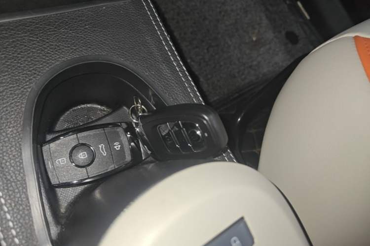 Used ORA Black Cat 2019 351 km Goddess Edition Interior 1