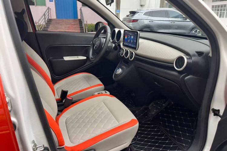 Used ORA Black Cat 2019 351 km Goddess Edition Interior 4