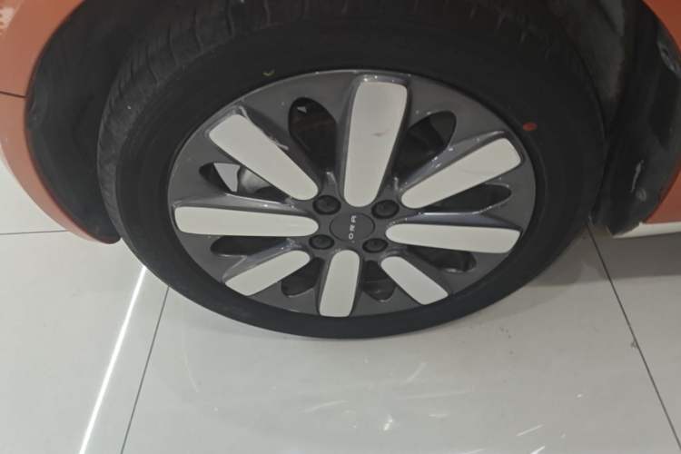 Used ORA Black Cat 2019 351 km Goddess Edition Left Front Wheel Hub
