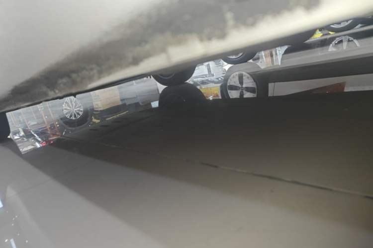Used ORA Black Cat 2019 351 km Goddess Edition Left Side Sill