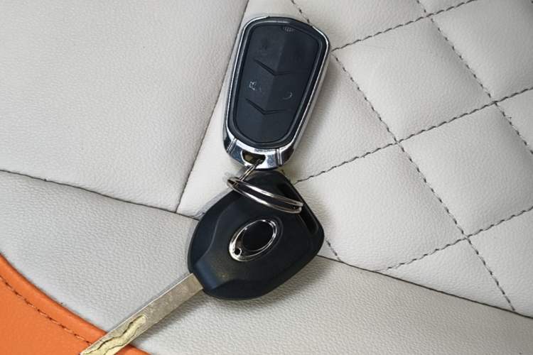 Used ORA Black Cat 2019 351 km Goddess Edition Vehicle Key