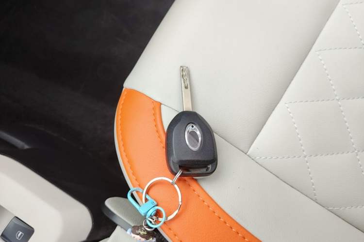Used ORA Black Cat 2019 351 km Goddess Edition Vehicle Key