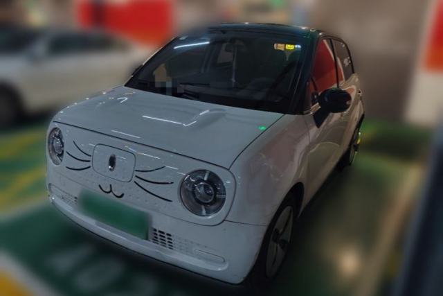 Used ORA Black Cat 2019 310km Fun Edition