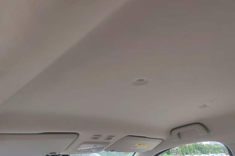 Used ORA Black Cat 2019 351 km Goddess Edition Headliner