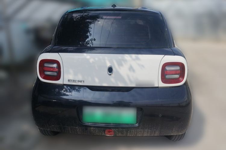 Used ORA Black Cat 2019 351 km Fun Edition Rear