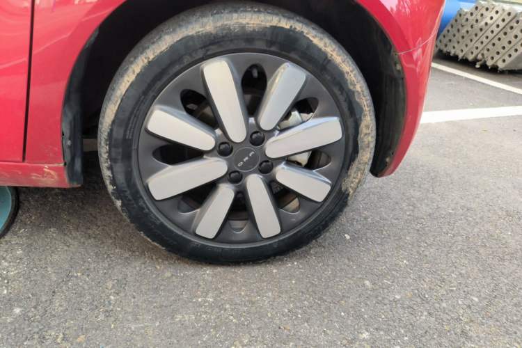 Used ORA Black Cat 2019 351 km Goddess Edition Right Front Wheel Hub