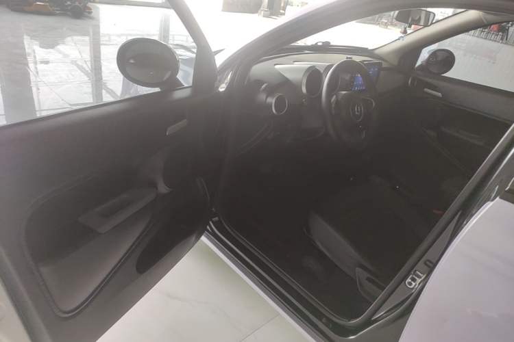 Used ORA Black Cat 2019 351 km Family Edition Driver Seat
