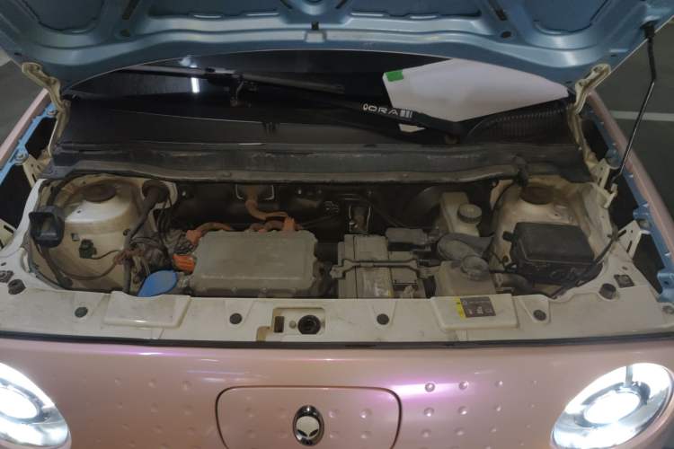 Used ORA Black Cat 2019 301km Standard Edition Engine Bay