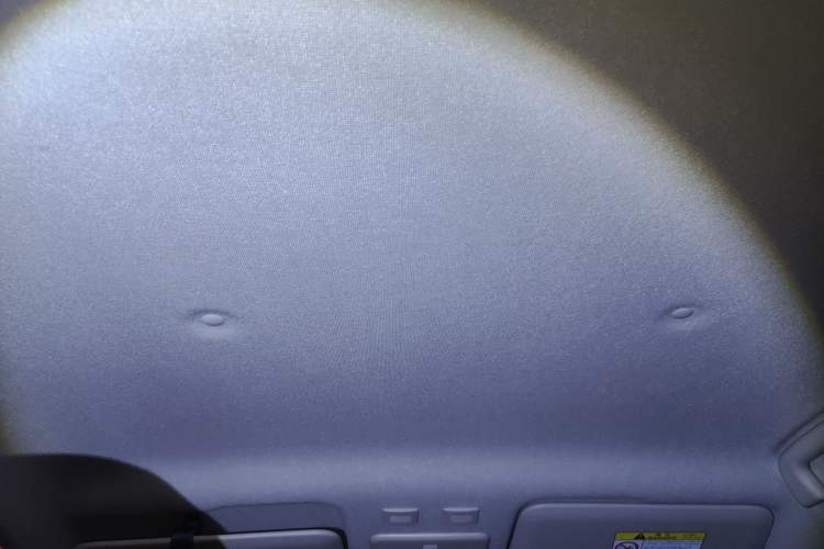 Used ORA Black Cat 2019 301km Standard Edition Headliner