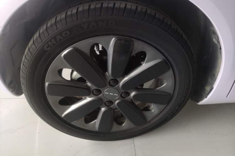 Used ORA Black Cat 2019 351 km Family Edition Left Front Wheel Hub
