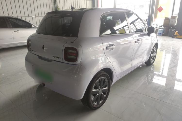 Used ORA Black Cat 2019 351 km Family Edition Rear Right 45 Deg