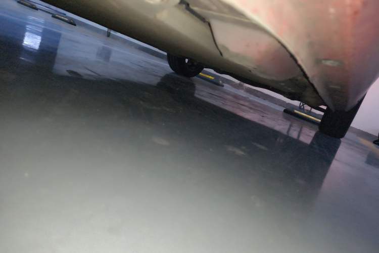 Used ORA Black Cat 2019 351 km Goddess Edition Chassis Rear Right