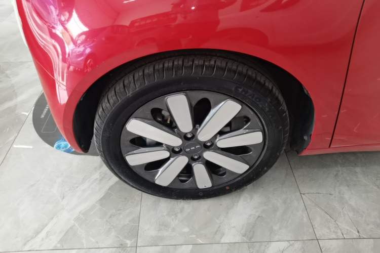 Used ORA Black Cat 2019 351 km Goddess Edition Exterior 4