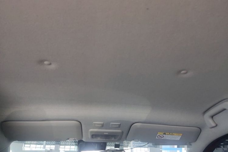 Used ORA Black Cat 2019 351 km Goddess Edition Headliner