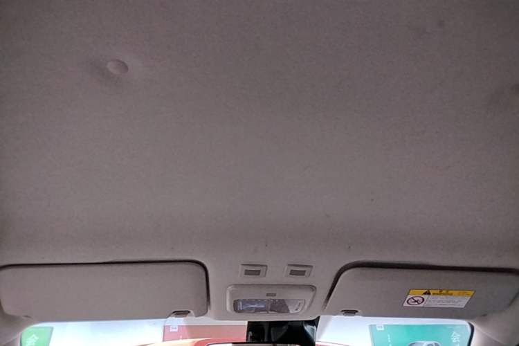 Used ORA Black Cat 2019 351 km Goddess Edition Headliner