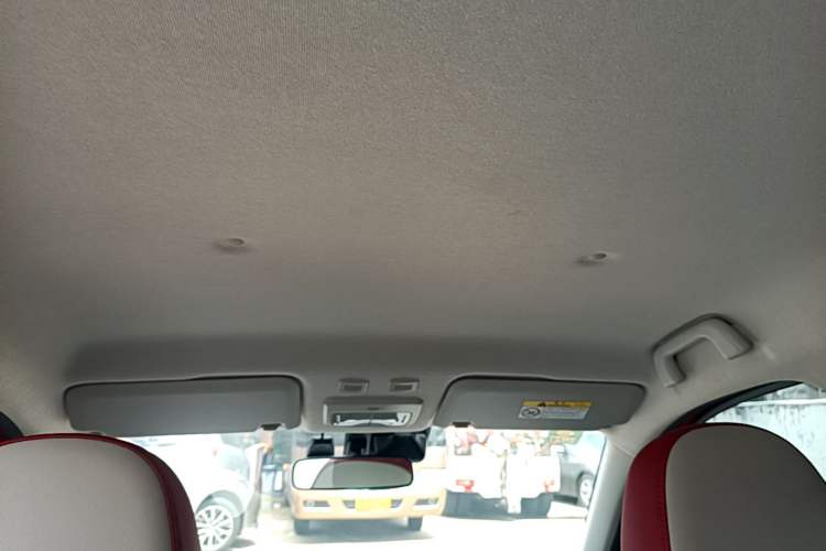 Used ORA Black Cat 2019 351 km Goddess Edition Headliner