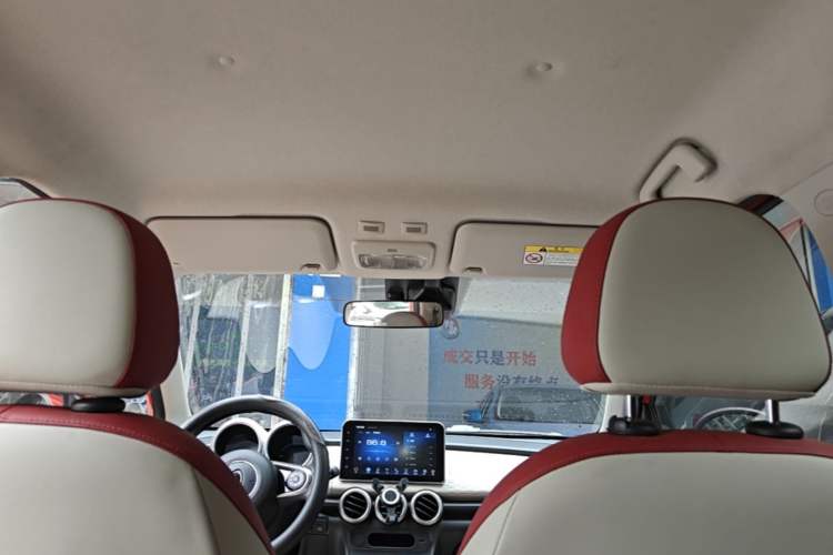 Used ORA Black Cat 2019 351 km Goddess Edition Headliner